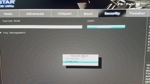 secure boot enabled